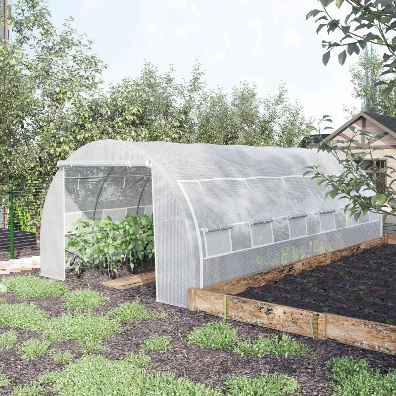  6m x 3m Walk-In Polytunnel Greenhouse with Roll-Up Side Walls - White