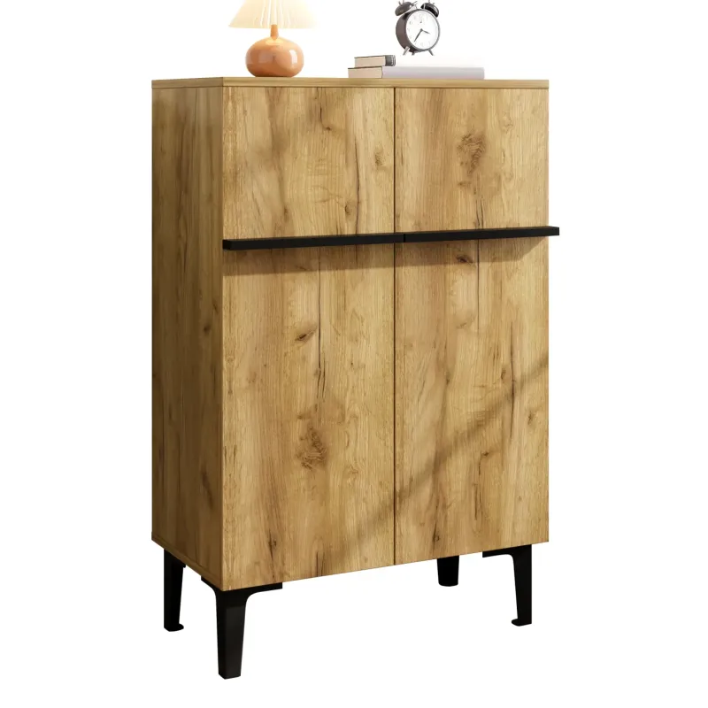 Modern 2-Door Shoe Storage Cabinet with Adjustable Shelves - Wood and Black